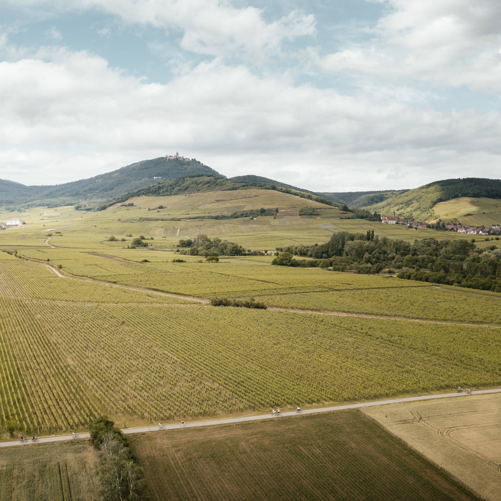 Slow'Up Alsace Studio Centurion